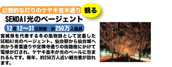 SENDAI���̃y�[�W�F���g