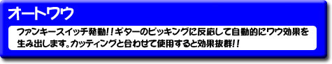 �I�[�g���E