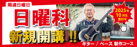 日曜科